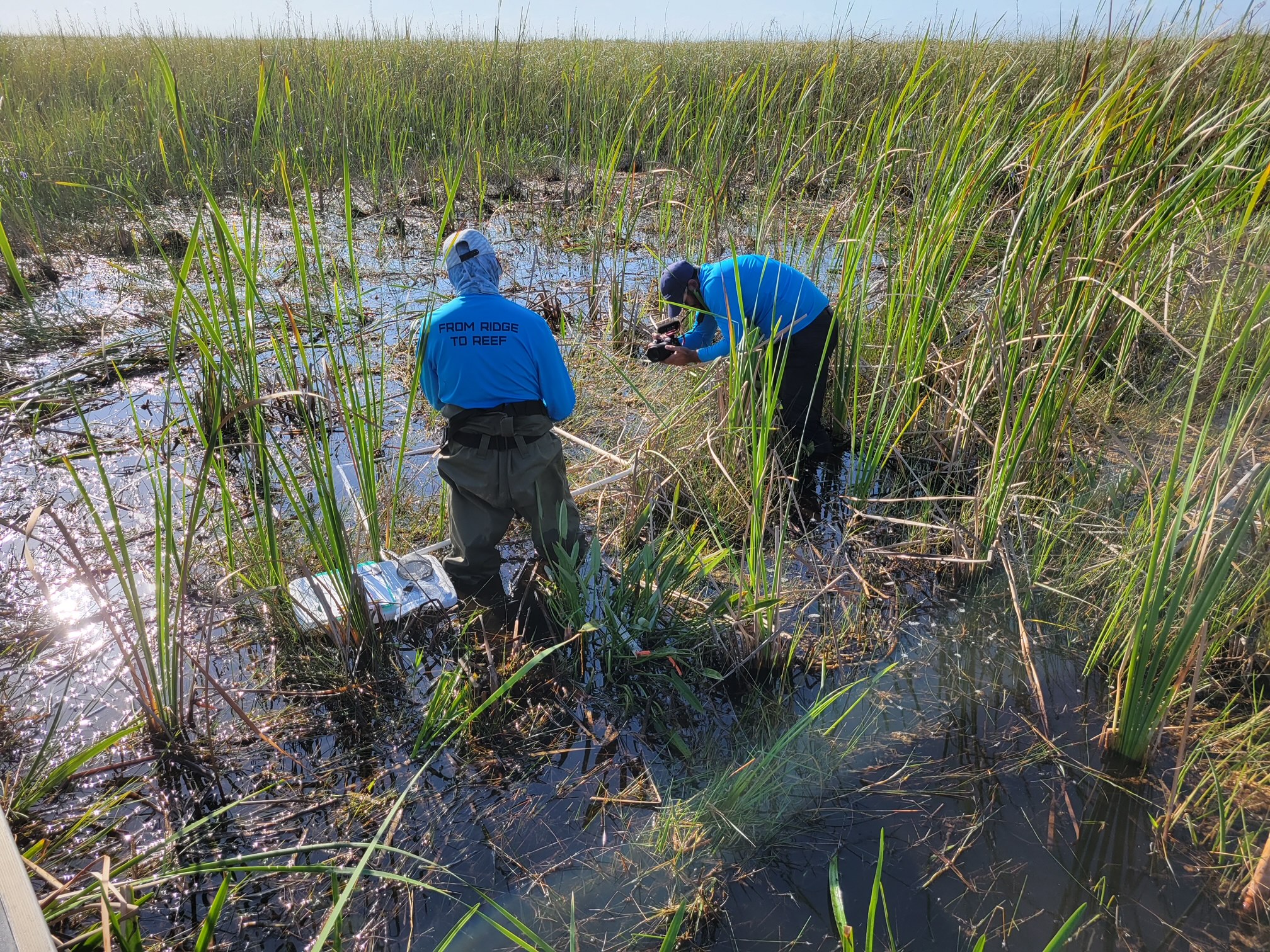 Sampling in Shark River Slough